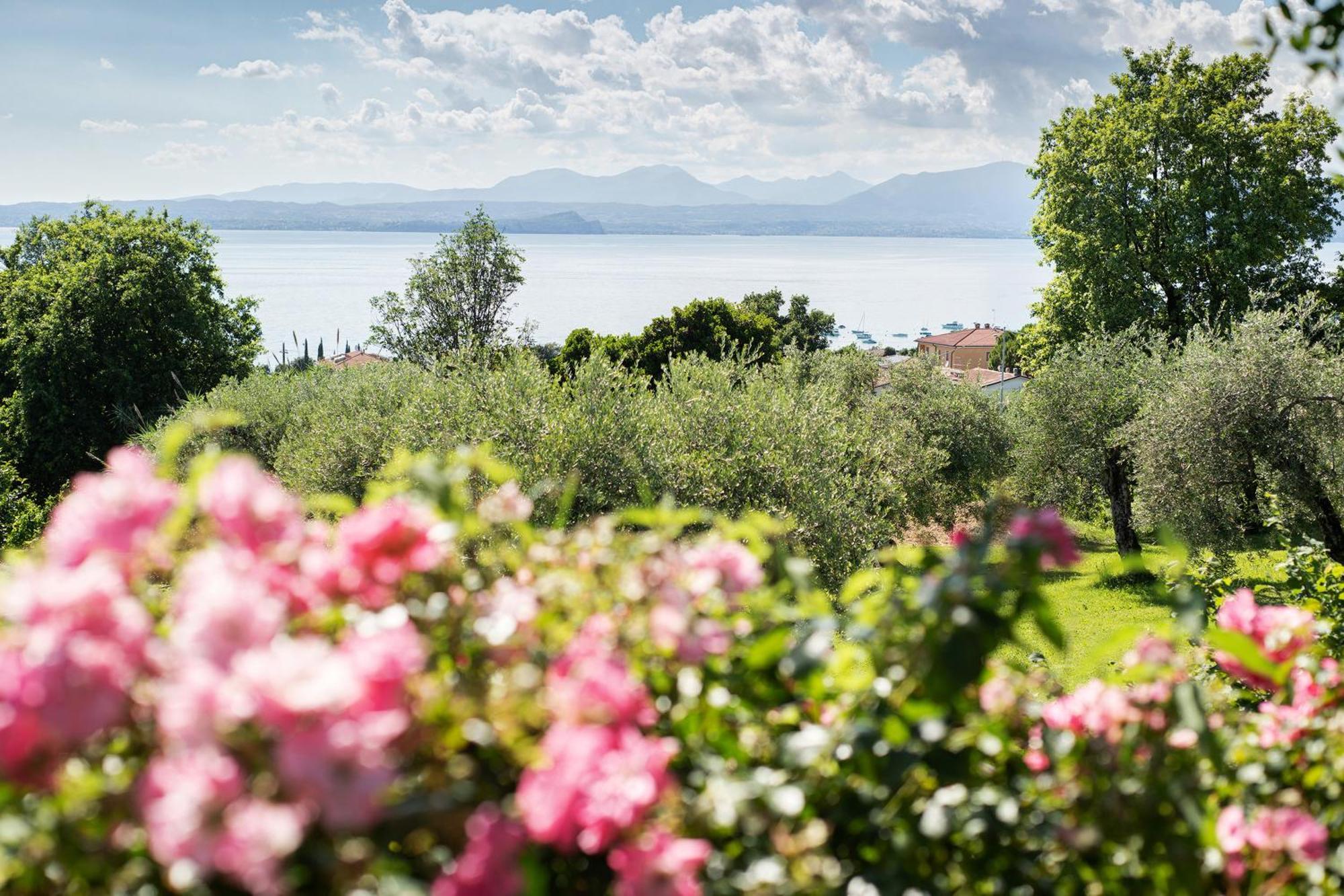 Villa Con Vista Mozzafiato Sul Lago バルドリーノ エクステリア 写真